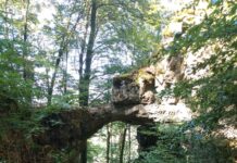 Die Altmühl – der langsamste Fluss Deutschlands