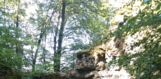 Die Altmühl – der langsamste Fluss Deutschlands