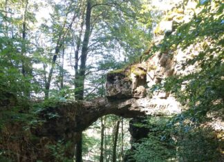 Die Altmühl – der langsamste Fluss Deutschlands