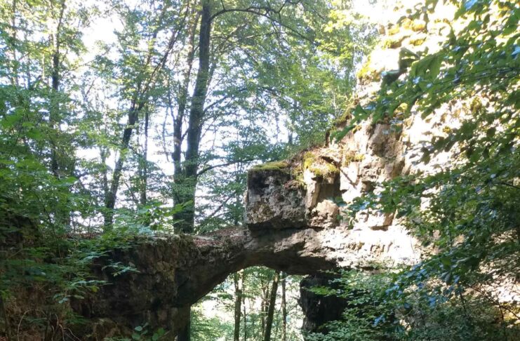 Die Altmühl – der langsamste Fluss Deutschlands